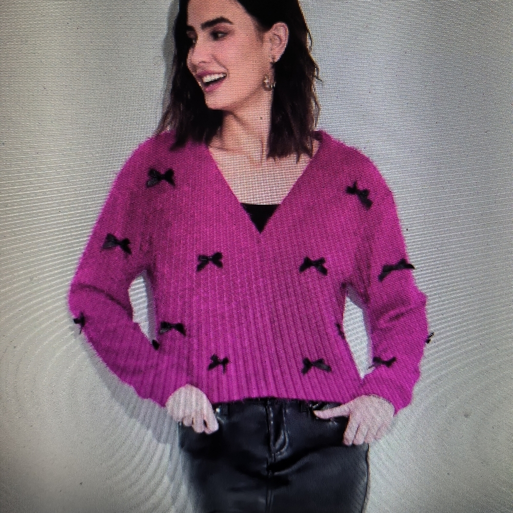 Wild Fable Low V Neck embelished Sweater.